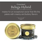OVERNIGHT SHIPPING - OLMA Beluga Hybrid Sturgeon Black Caviar from Italy - Rated Top Caviar in the World - 3.5 oz / 100 g