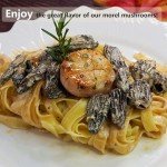 VIGOROUS MOUNTAINS Dried Morel Mushrooms (1)