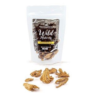 West Coast Wild Foods | Dried Wild Mushrooms (Chanterelle, 0.5oz - 14g)