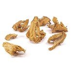West Coast Wild Foods | Dried Wild Mushrooms (Chanterelle, 0.5oz - 14g)