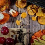 West Coast Wild Foods | Dried Wild Mushrooms (Chanterelle, 0.5oz - 14g)