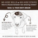 Earth Animal No Hide Stix Venison Flavored Natural Rawhide Free Dog Chews Long Lasting Dog Chew Sticks | Dog Treats for Small Dogs and Cats | Great Dog Chews for Aggressive Chewers (1 Pack)