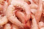 Key West Pink Shrimp Jumbo Wild Caught 16-20 ct Florida seafood 5-20lb (5lb)