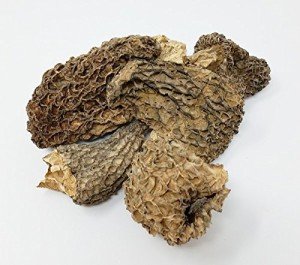 Dried Morel Mushrooms