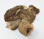 Dried Morel Mushrooms