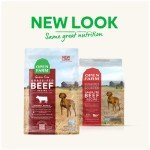 Open Farm Grain-Free Dry Dog Food with Ethically Sourced Ingredients, Non-GMO Veggies & Superfoods to Support Overall Health, Grass-Fed Wagyu Beef Recipe, 4lb Bag (64oz Bag)