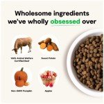 Open Farm Grain-Free Dry Dog Food with Ethically Sourced Ingredients, Non-GMO Veggies & Superfoods to Support Overall Health, Grass-Fed Wagyu Beef Recipe, 4lb Bag (64oz Bag)