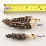 Premium A+ Grade Dried Wild Morel Mushrooms (Morchella) (4OZ pack,113g)