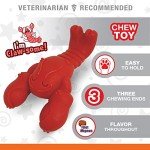 Nylabone Power Chew Lobster Dog Chew Toy, Cute Dog Toys for Aggressive Chewers, Filet Mignon Flavor, Small/Regular (1 Count)