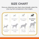 Nylabone Power Chew Lobster Dog Chew Toy, Cute Dog Toys for Aggressive Chewers, Filet Mignon Flavor, Small/Regular (1 Count)