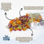 No Furries Delights Forage Mix,100% All Natural Botanical Herb Treat for Rabbit Hamster Guinea Pig Chinchilla Chicken Hermit Crab Gerbil Degu & Other Small Animals (All in One Forage Mix 30g)
