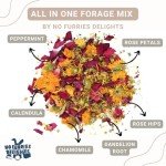 No Furries Delights Forage Mix,100% All Natural Botanical Herb Treat for Rabbit Hamster Guinea Pig Chinchilla Chicken Hermit Crab Gerbil Degu & Other Small Animals (All in One Forage Mix 30g)