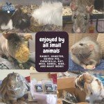 No Furries Delights Forage Mix,100% All Natural Botanical Herb Treat for Rabbit Hamster Guinea Pig Chinchilla Chicken Hermit Crab Gerbil Degu & Other Small Animals (All in One Forage Mix 30g)