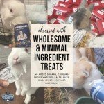 No Furries Delights Forage Mix,100% All Natural Botanical Herb Treat for Rabbit Hamster Guinea Pig Chinchilla Chicken Hermit Crab Gerbil Degu & Other Small Animals (All in One Forage Mix 30g)