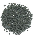 Lentils | Black Beluga | 64 Ounce Bag | Non-GMO | Kosher | Vegan | Non-Irradiated