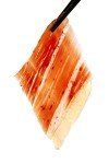 100% IBERICO ACORN-FED HAM SHOULDER Free Range BONELESS & TRIMMED // PALETA DE BELLOTA 100% IBÉRICA DESHUESADA & MOLDEADA by Fermin