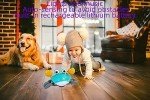 FEELGUY Crawling Crab Baby Toy,Fantastic Creatures Toys Infant Sensory Tummy time Toys Babies boy Girl for 36 Months to 15 Years Learning to Crawl Walking Toddler Gifts (Green)