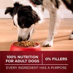 Purina ONE True Instinct With A Blend Of Real Turkey and Venison Dry Dog Food - 27.5 lb. Bag