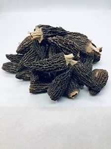 Selected Dried Morel Mushrooms 1 lb. ( Morchella Conica ) 羊肚菌干蘑菇