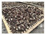 Selected Dried Morel Mushrooms 1 lb. ( Morchella Conica ) 羊肚菌干蘑菇