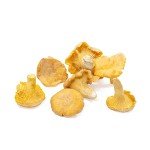 West Coast Wild Foods | Dried Wild Mushrooms (Chanterelle, 1oz - 28g)