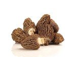 Pure European Morel (Morchella esculenta) Mushroom Powder - Enhance Your Culinary Delights - 3.5 Oz. (100g)