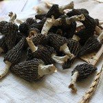 Jumbo Dried Morel Morchella Mushroom Crop Top Grade Premium Quality 100g (3.5oz)