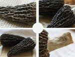Jumbo Dried Morel Morchella Mushroom Crop Top Grade Premium Quality 100g (3.5oz)