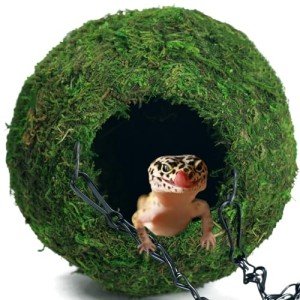 BYHER Mossy Cave with Chain, Reptile Hideouts Artificial Moss Ball Hide Cave for Leopard, Hermit Crab, Lizards, Frogs and Snakes Terrarium Decor (Woodland - 4")