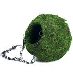 BYHER Mossy Cave with Chain, Reptile Hideouts Artificial Moss Ball Hide Cave for Leopard, Hermit Crab, Lizards, Frogs and Snakes Terrarium Decor (Woodland - 4")