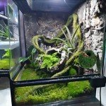 BYHER Mossy Cave with Chain, Reptile Hideouts Artificial Moss Ball Hide Cave for Leopard, Hermit Crab, Lizards, Frogs and Snakes Terrarium Decor (Woodland - 4")