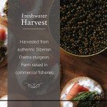 OVERNIGHT SHIPPING - OLMA Siberian Osetra Aurora Black Caviar - Medium Grain Pearls, Superior Grade - 2 oz / 56 g