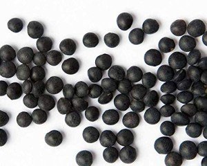Zursun Heirlooms, Black Beluga Lentil