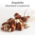 Belgian Chocolate Seashells, 22 Gourmet Hazelnut Praline Truffles by GuyLian, Assorted White, Milk, Dark Chocolate Candy Gift Box for Women and Men