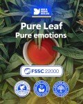 LOVARE Bergamot Tea Variety Pack - 32 Bags