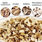 VIGOROUS MOUNTAINS Dried Morel and Assorted Mushroom Granules