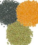 Red, Green & Black Lentils Variety Pack - 12 lbs