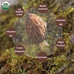 Organic Dried Morel Mushrooms - Rich Aroma 1.5 oz