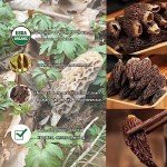 Organic Dried Morel Mushrooms - Rich Aroma 1.5 oz