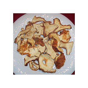 Fresh Lobster Mushrooms - 4 Ounce Pack