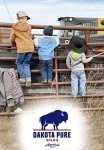 Dakota Pure Bison Meat Sticks - Original Flavor