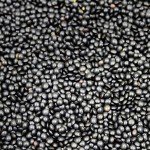 Organic Black Lentils with Golden Spoon - 16 Oz