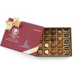 CARIANS Chocolate Gift Box, Box of Candy, Assorted Luxury Premium Gourmet Chocolate Gift Basket, Dark, Milk, White Chocolates & Truffles, Kosher, Halal, 20 Pc., 9.1 oz.