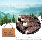 Generic Wild Organic Dried Morel Mushrooms, Premium Whole Large Dried Morel Mushrooms, Healthy, Nutrient-dense, Gluten Free, Dried Mushrooms (Morchella Conica) for Vegetarians, 1oz