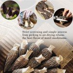 Generic Wild Organic Dried Morel Mushrooms, Premium Whole Large Dried Morel Mushrooms, Healthy, Nutrient-dense, Gluten Free, Dried Mushrooms (Morchella Conica) for Vegetarians, 1oz