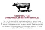MARBLE 57° CERTIFIED WAGYU (bms 4-6) RIBEYE 4 PACK. SHARE THE RARE & SAVOR THE FLAVOR with a 4-10oz Wagyu RIBEYE STEAK Bundle - HORMONE FREE - NO ANTIBIOTICS - PASTURE-RAISED