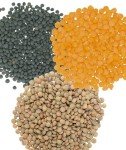 Red Lentils 4 LB | Brown Lentils 5LB | Black Beluga Lentils 4 LB | 13 LBS Total | Family Farmed in Pacific Northwest | Non-GMO | 100% Non Irradiated | Kosher | Vegan