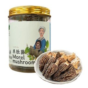 QIANPINHUI Morel Mushroom Organic Dried Morel Mushrooms, Dehydrated Gourmet Morchella Conica Edible Mushrooms for Cooking 1oz, 28.35g - New Sealed Packaging
