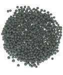 Beluga Lentils | 25 LBS | Emergency Food Storage Bucket | Non-GMO | Vegan | Bulk