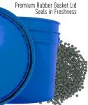 Beluga Lentils | 25 LBS | Emergency Food Storage Bucket | Non-GMO | Vegan | Bulk